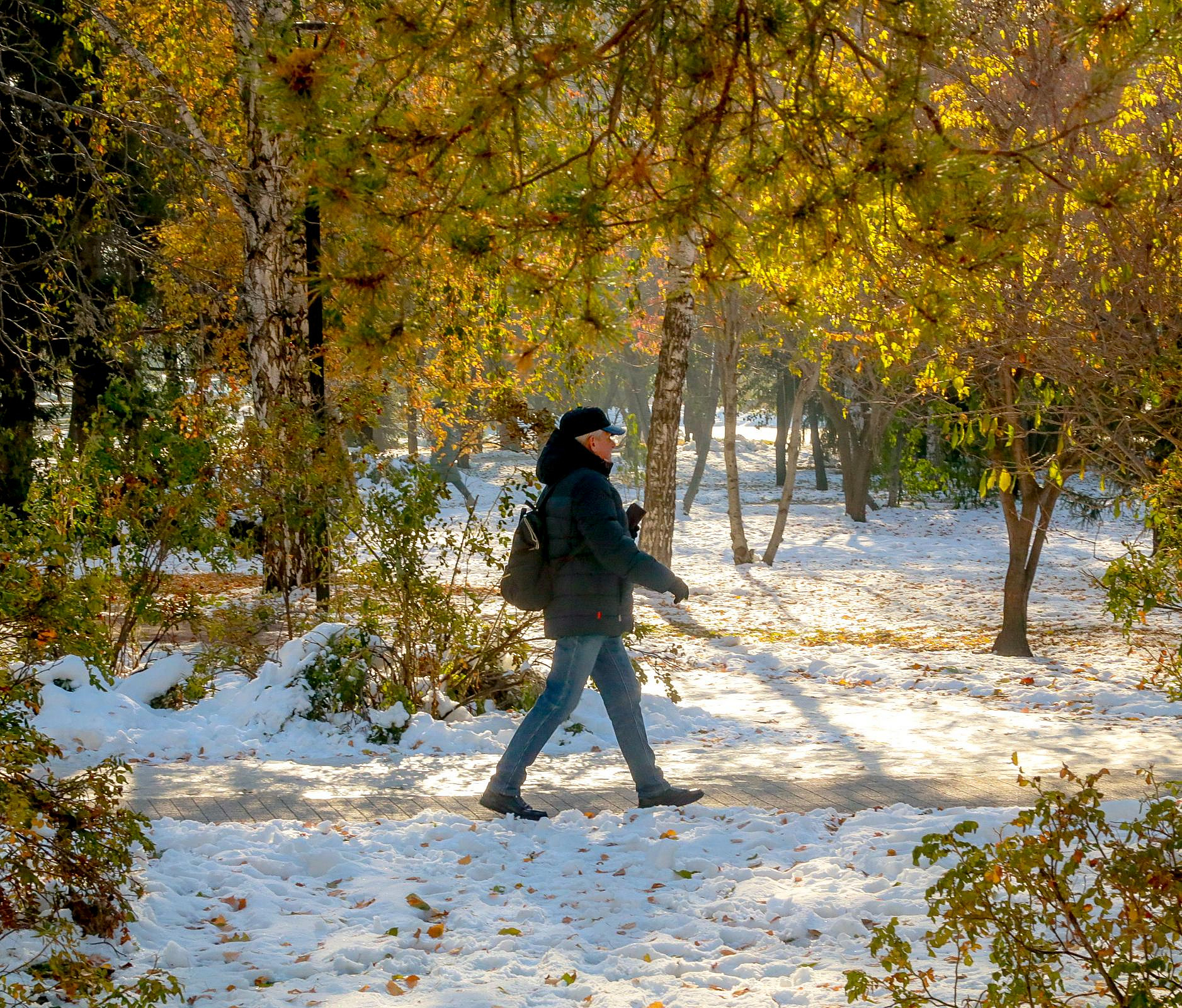 Солнечная и тёплая погода ожидает новосибирцев в выходные