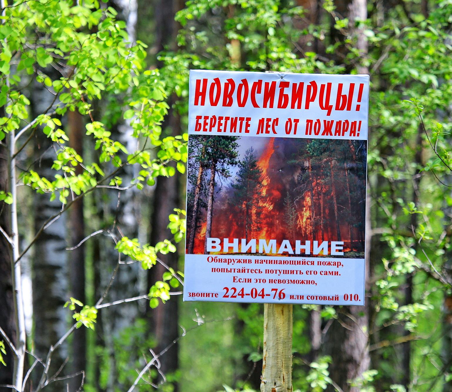 Особый противопожарный режим продлён до 22 мая в Новосибирской области