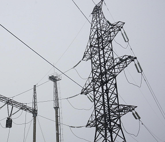 1,3 км электросетей протянут к рапсовому заводу под Новосибирском