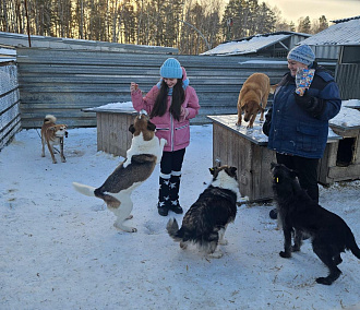 Мечту 11-летней школьницы с «Ёлки желаний» исполнил департамент ЖКХ