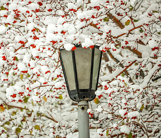 Зимнее волшебство в Новосибирске: атмосферные фото укрытого снегом города