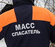 Спасатели с помощью спредера вытащили застрявшего в дереве мальчишку