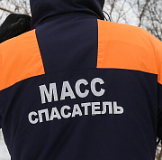 Спасатели с помощью спредера вытащили застрявшего в дереве мальчишку