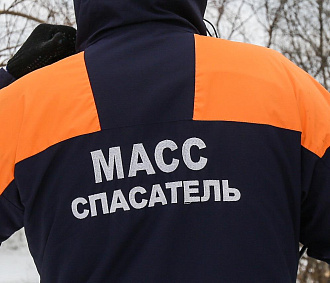 Спасатели с помощью спредера вытащили застрявшего в дереве мальчишку