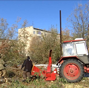 Опасные деревья убрали со школьного маршрута в Кировке