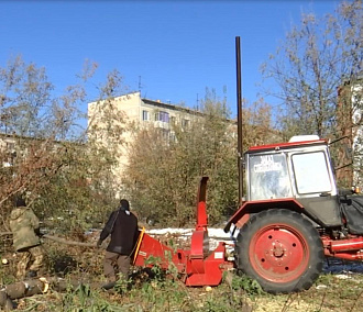 Опасные деревья убрали со школьного маршрута в Кировке