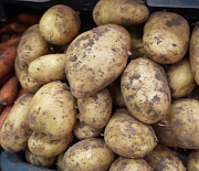 Полезные картофельные чипсы с гумусом запатентовали новосибирские учёные