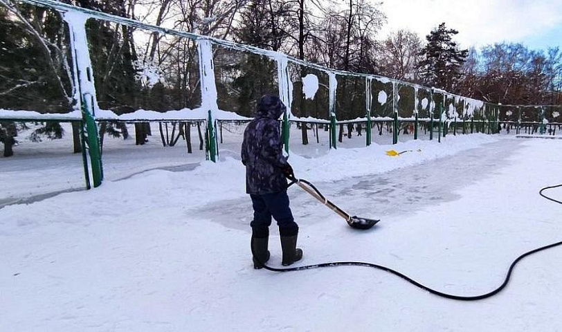 Когда откроют катки в Новосибирске — сообщил мэр Кудрявцев