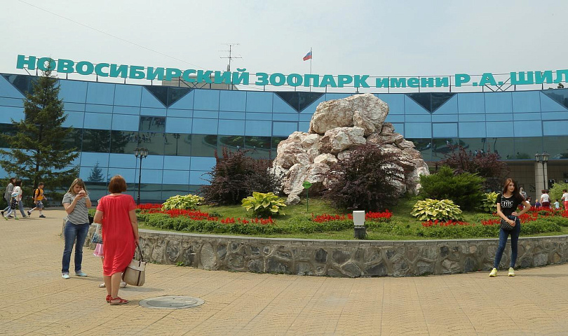 История на каждом шагу: путешествия зоопарка