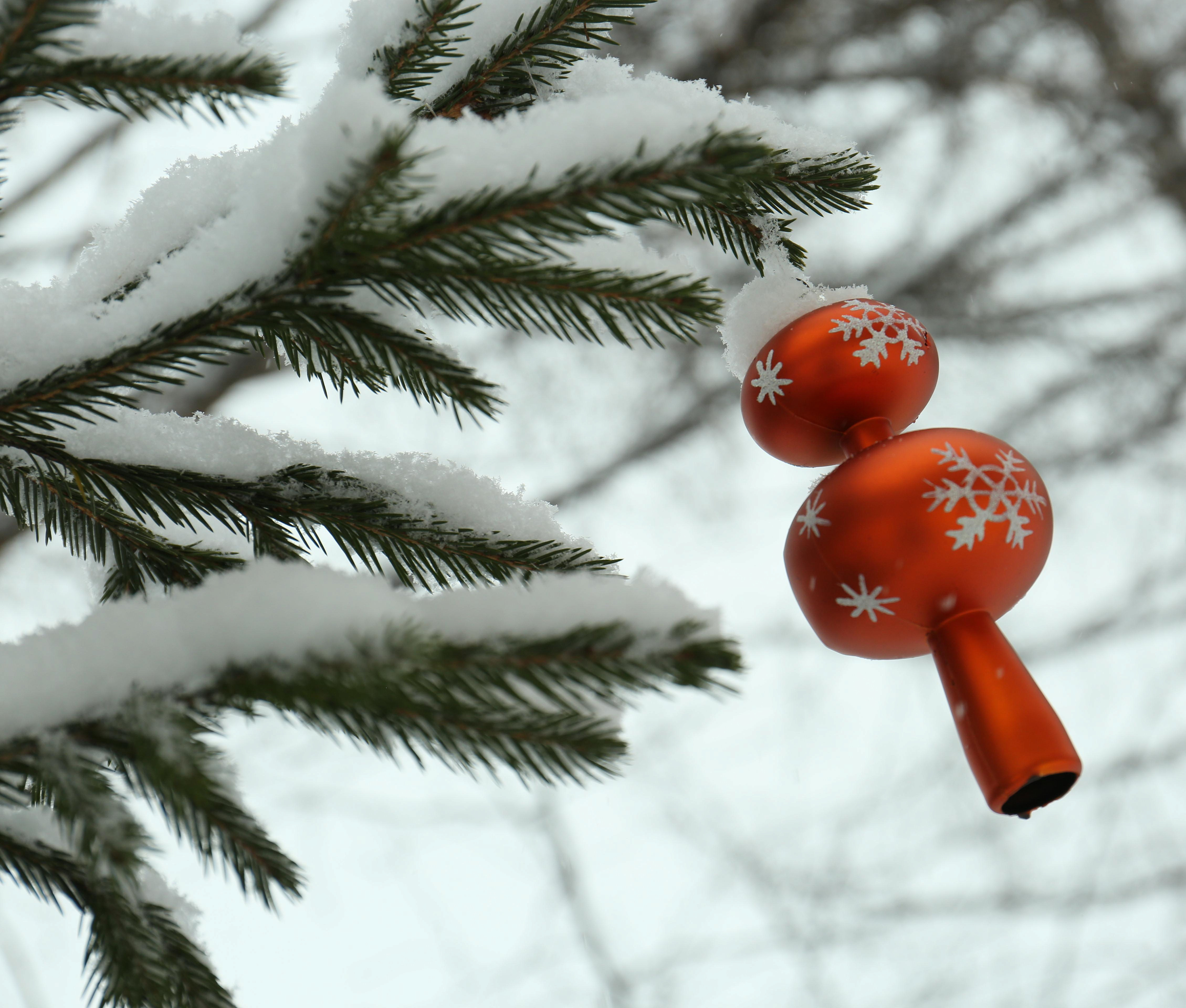 Новосибирцам предложили нарисовать ёлку 1945 года для 3D-открытки
