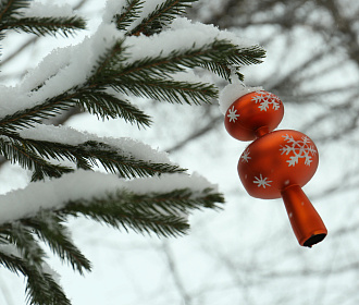 Новосибирцам предложили нарисовать ёлку 1945 года для 3D-открытки