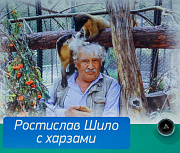 Вагон к 85-летию Ростислава Шило запустили в метро Новосибирска