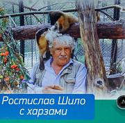 Вагон к 85-летию Ростислава Шило запустили в метро Новосибирска