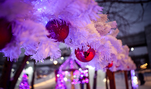 Стала известна цена билетов в ледовый городок на набережной Новосибирска