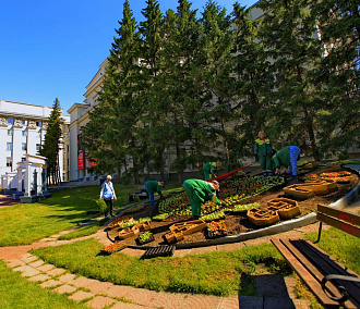2500 бегоний украсили циферблат цветочных часов в Новосибирске