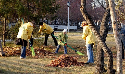 Пал и пропал: что делают с опавшими листьями в Новосибирске