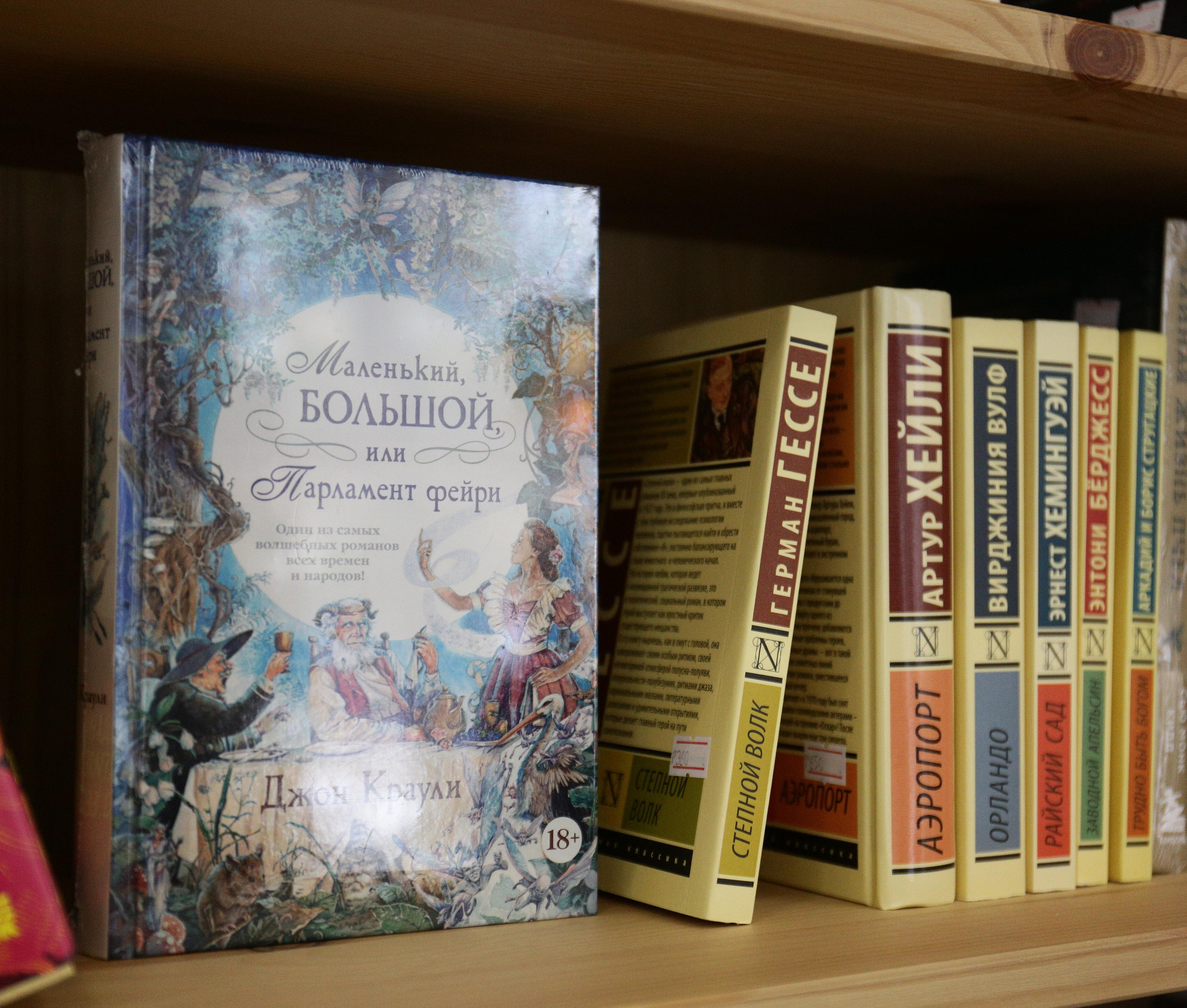 Продавец книг Вероника Украинцева: «Дети залипают на виммельбухи»