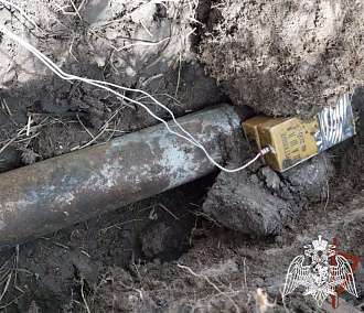 Ржавый снаряд времён ВОВ нашли на поле в Новосибирской области