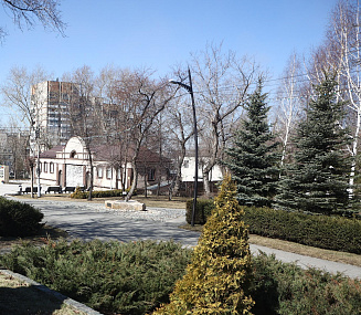 Парки и скверы в Новосибирске полностью обработали от клещей