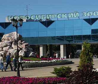 Новосибирский зоопарк перешёл на летний график работы