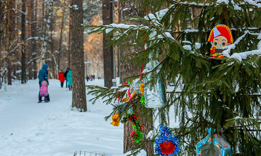 Декабрь в пределах нормы прогнозируют в Новосибирске синоптики