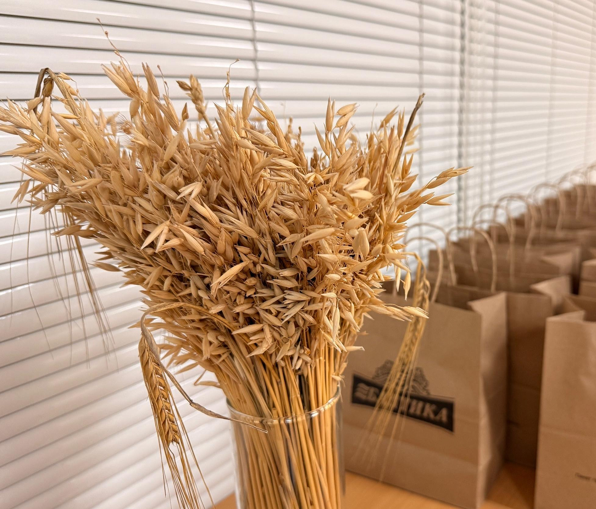 Экскурсия на «Балтику»: чем новосибирский завод готов удивить туристов