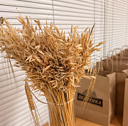 Экскурсия на «Балтику»: чем новосибирский завод готов удивить туристов