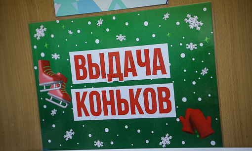 Мэр Кудрявцев: найден способ сократить очереди на популярных катках