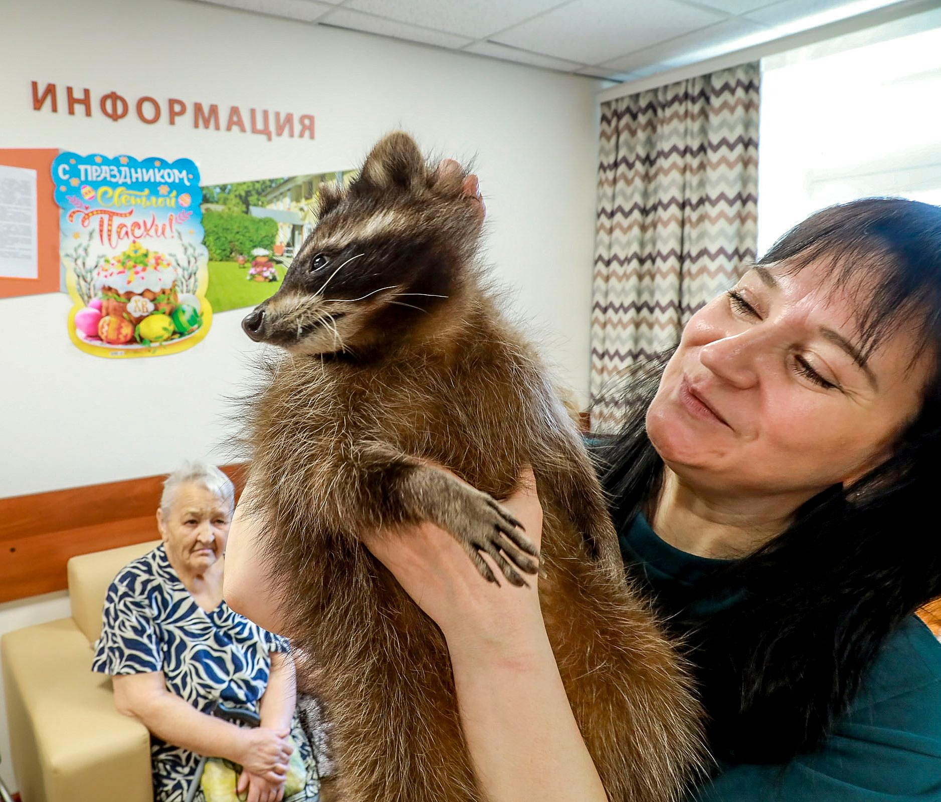 Собаки, черепашки и енот устроили пет-терапию в доме милосердия
