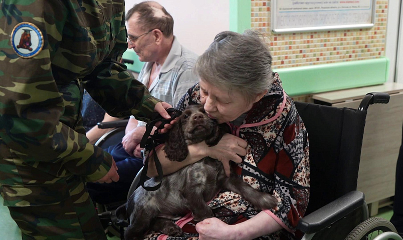 Собаки, черепашки и енот устроили пет-терапию в доме милосердия