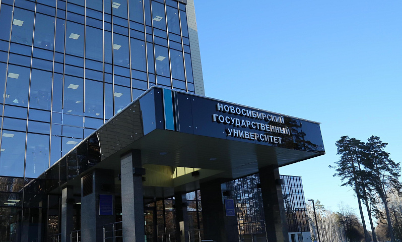 Средство для очистки воздуха от угарного газа и бактерий создали в НГУ