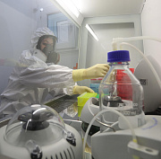 Роспотребнадзор изучает новый коронавирус из Бразилии — опасен ли он