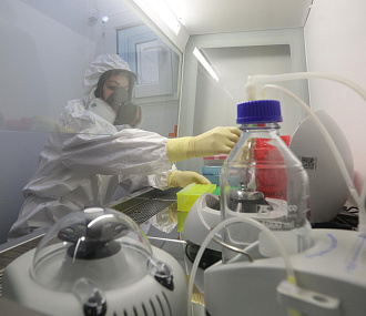 Роспотребнадзор изучает новый коронавирус из Бразилии — опасен ли он