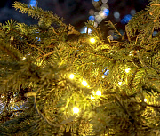 Ёлки, шары и катки в парках: как Новосибирск готовится встречать 2026 год