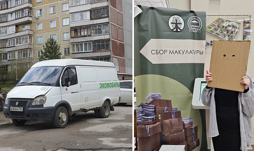 Пять тонн макулатуры из школ и детсадов отправили на переработку