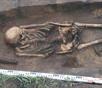 Древнейшее захоронение обнаружили археологи в Новосибирской области