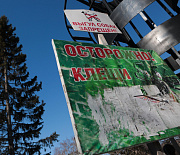Запасаются кровью к зиме: клещи снова ожили в Новосибирской области