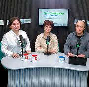 Разговор об истории: красный дырокол, белый баян и смысловые оттенки