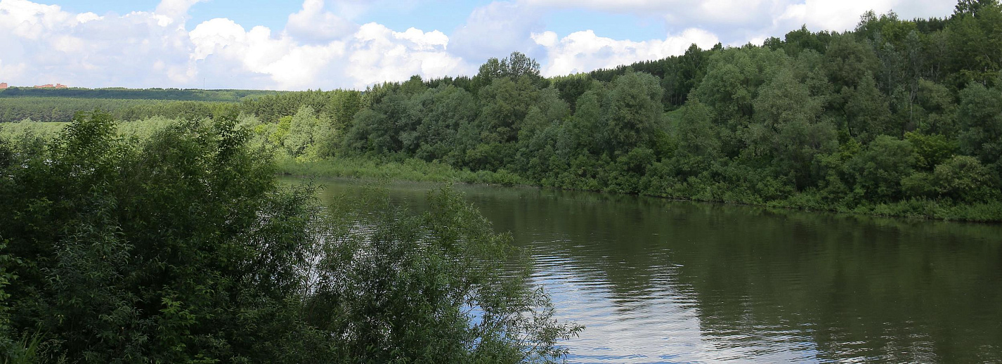 Д ини. Парк на реке Иня Новосибирск. Парк на реке Каменка в Новосибирске. Парк в пойме реки Иня. Река Иня Сарапулка.