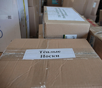 Сибиряки бесплатно отправили в зону СВО 28 тысяч посылок за полгода