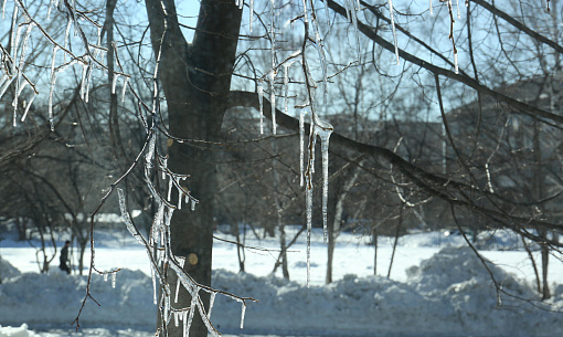Гололедица неизбежна: оттепель идёт в Новосибирскую область