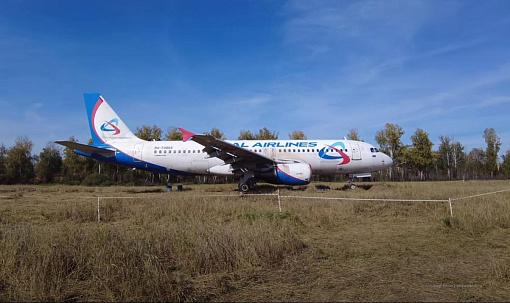 Севший на пшеничное поле под Новосибирском самолёт законсервируют