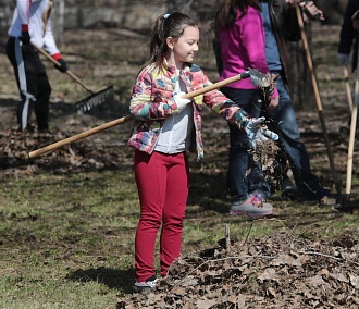 Трудовые каникулы: дети сажают цветы и убирают дворы в Новосибирске