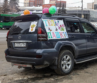 Уличную торговлю тюльпанами от 100 рублей развернули в Новосибирске