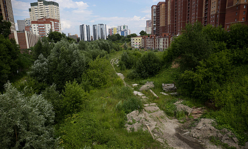 Разработчики проекта парка в пойме Ельцовки отказались от огородов