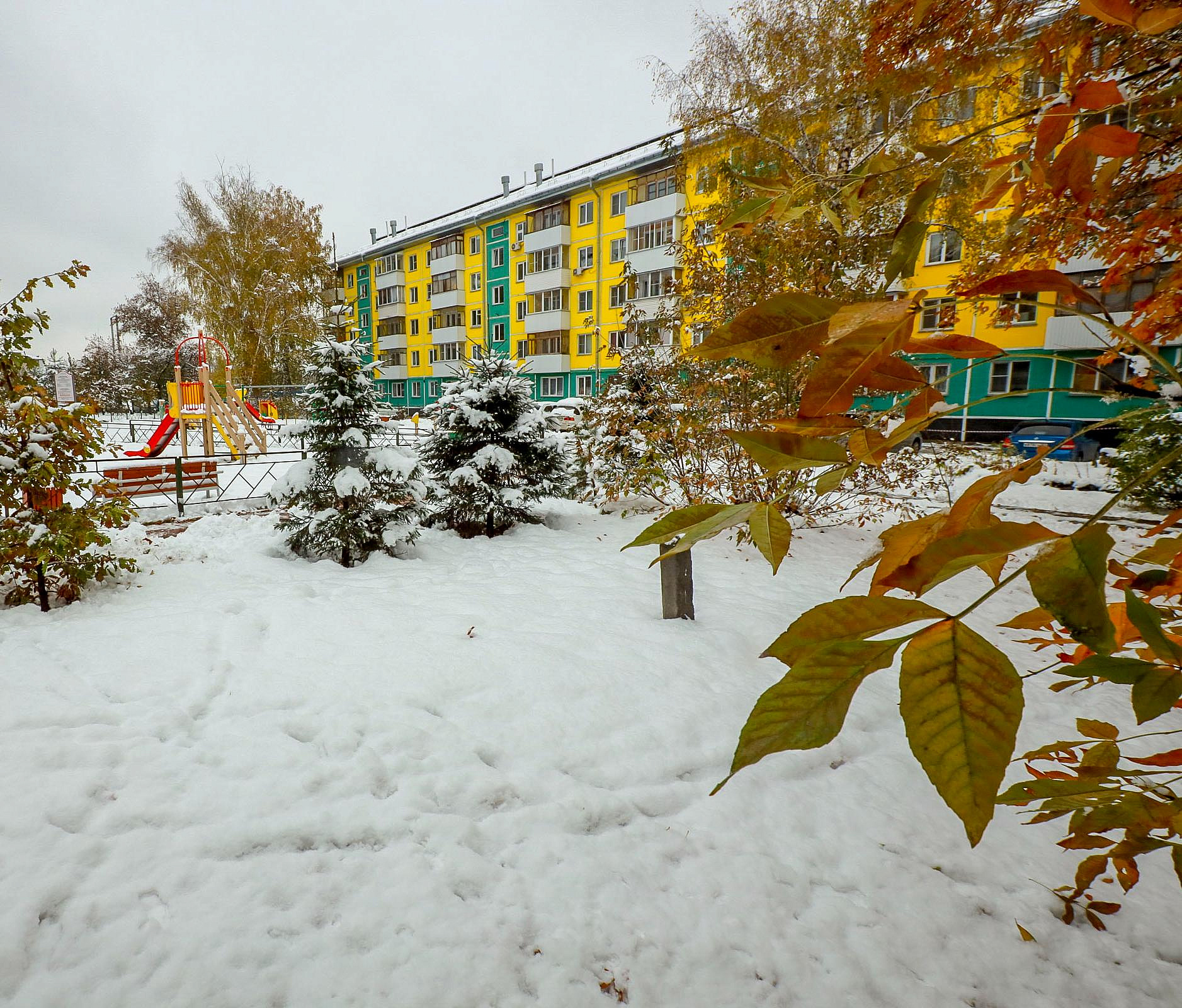 Потепление придёт в Новосибирск к выходным