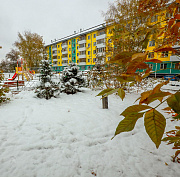 Потепление придёт в Новосибирск к выходным