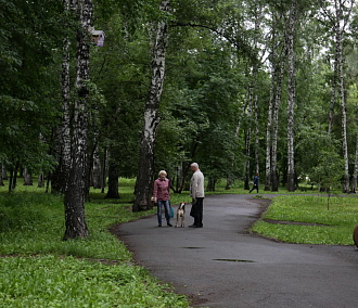 «Парк европейского уровня»: какой видят новосибирцы Берёзовую рощу
