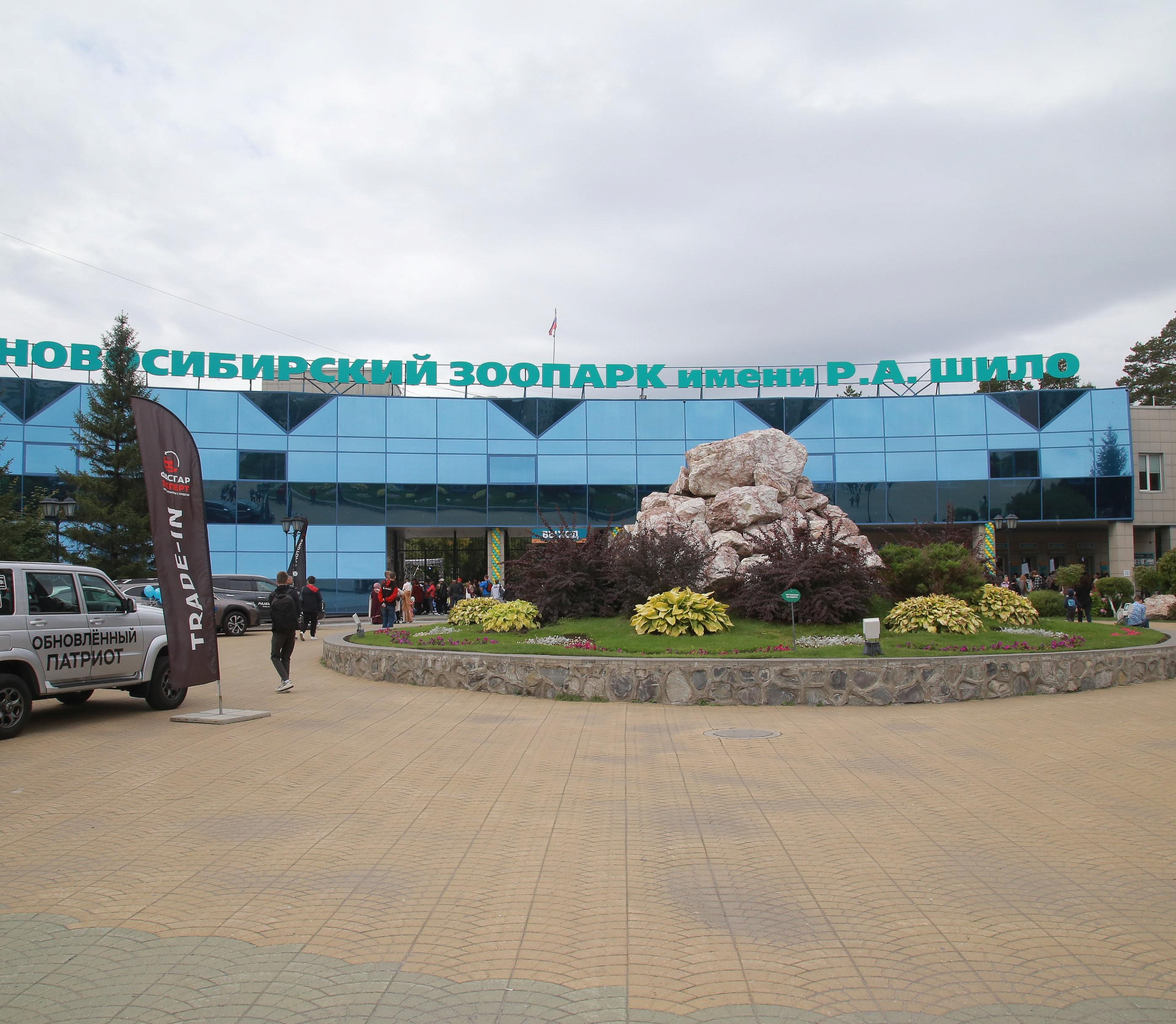 Два венценосных журавля из Новосибирского зоопарка улетели в Казань