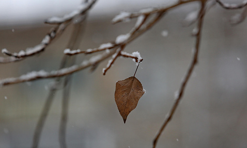 Потепление придёт на смену 28-градусному морозу в Новосибирске